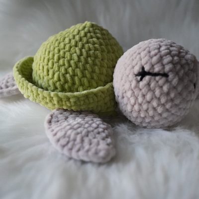 Schildkröte_Theo